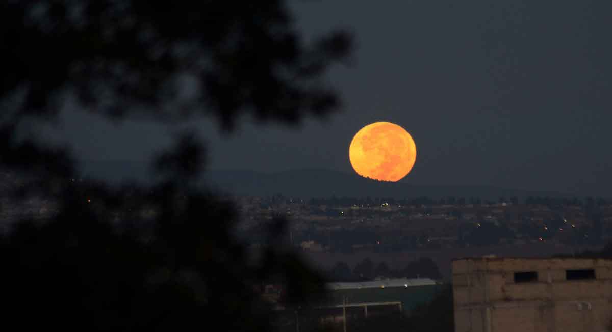 Luna: ¿Qué fenómenos astronómicos ocurrirán en julio?