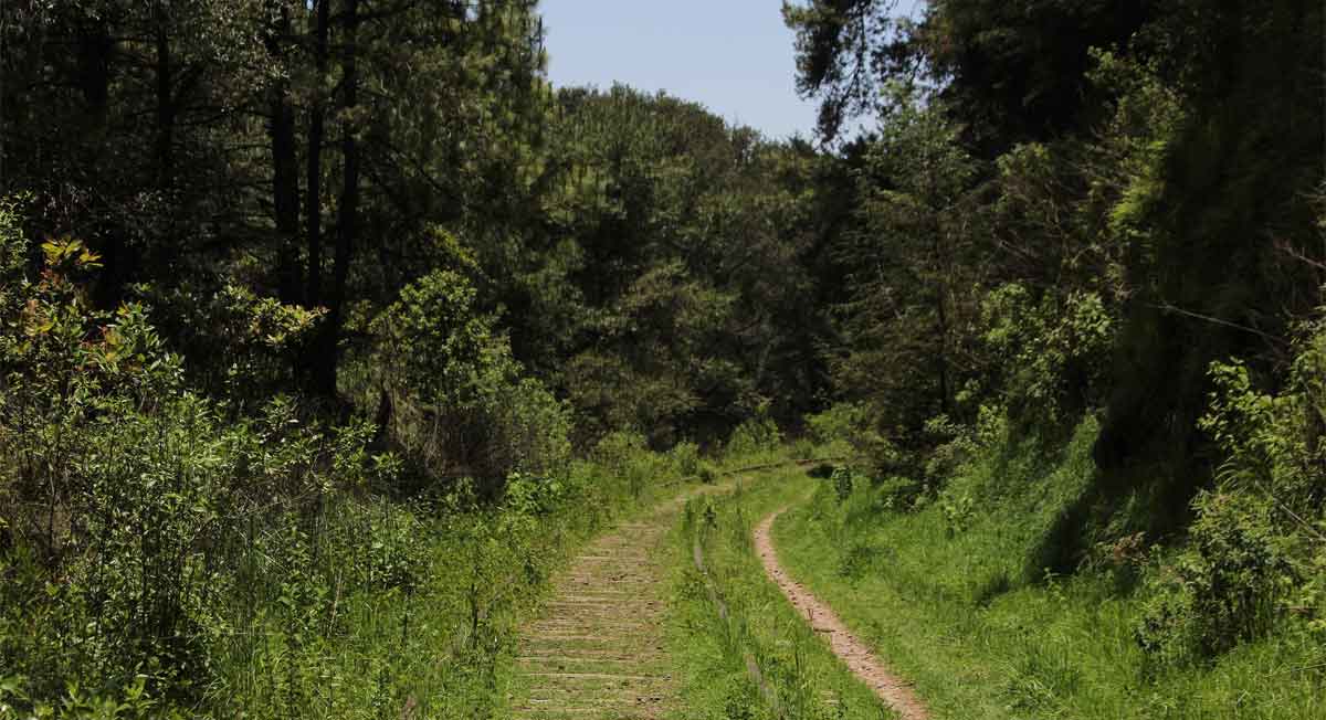 Ocoyoacac, lugar digno de visitar - cómo llegar y qué hacer