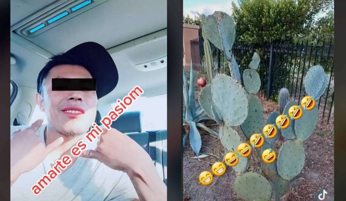 Video Tiktok - "Parecen puercos", Extranjero insultaa mexicanos por comer nopales