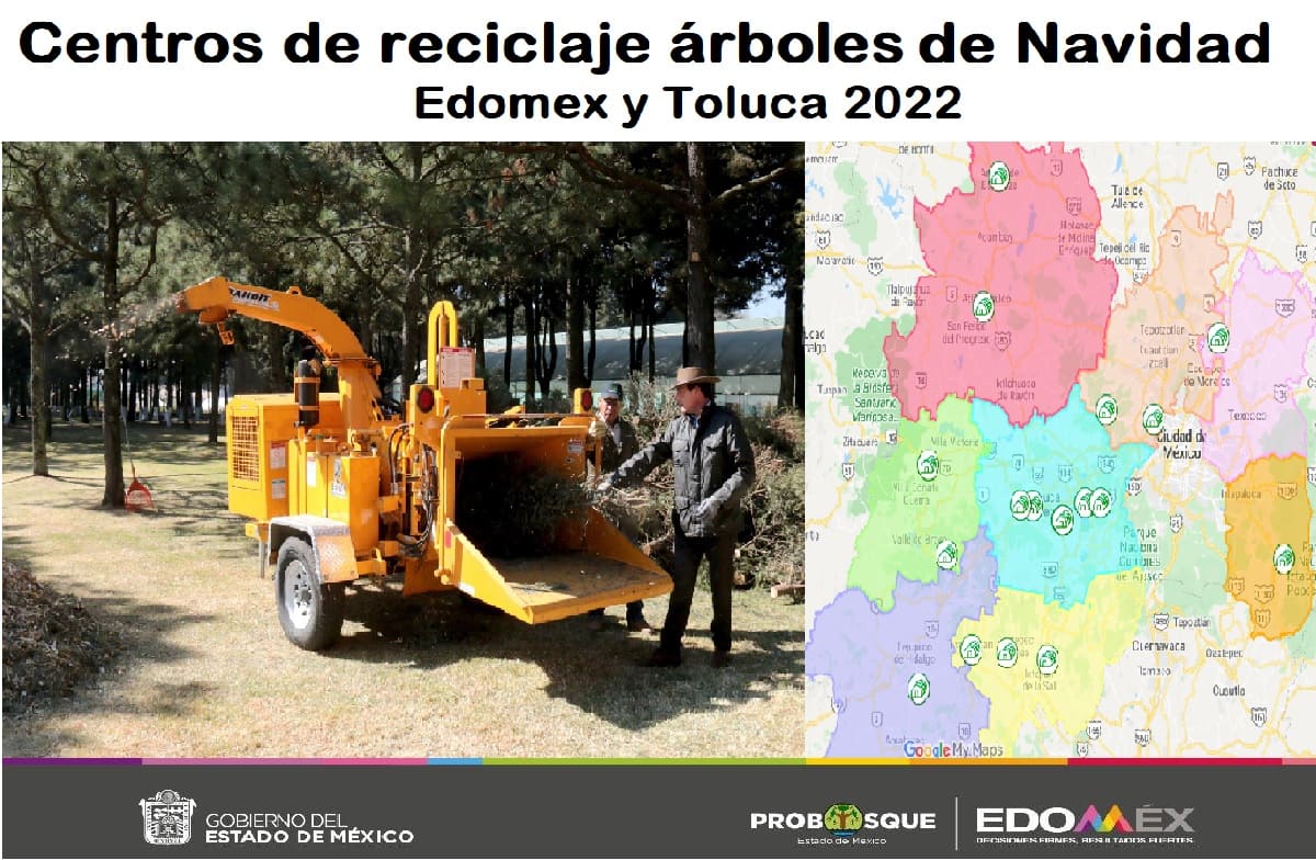 Ubicación de los 18 módulos para reciclar tu árbol de Navidad en Edomex