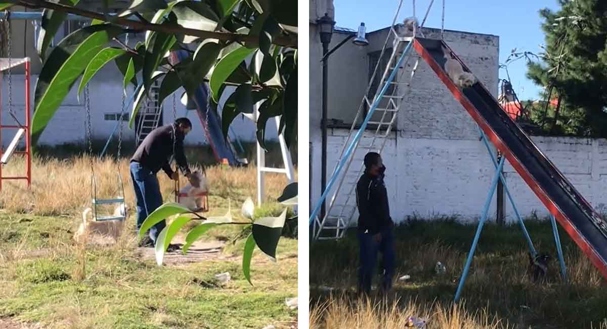 Señor conmueve las redes por llevar a sus mascotas a columpiar y a la resbaladillas, video se vuelve viral
