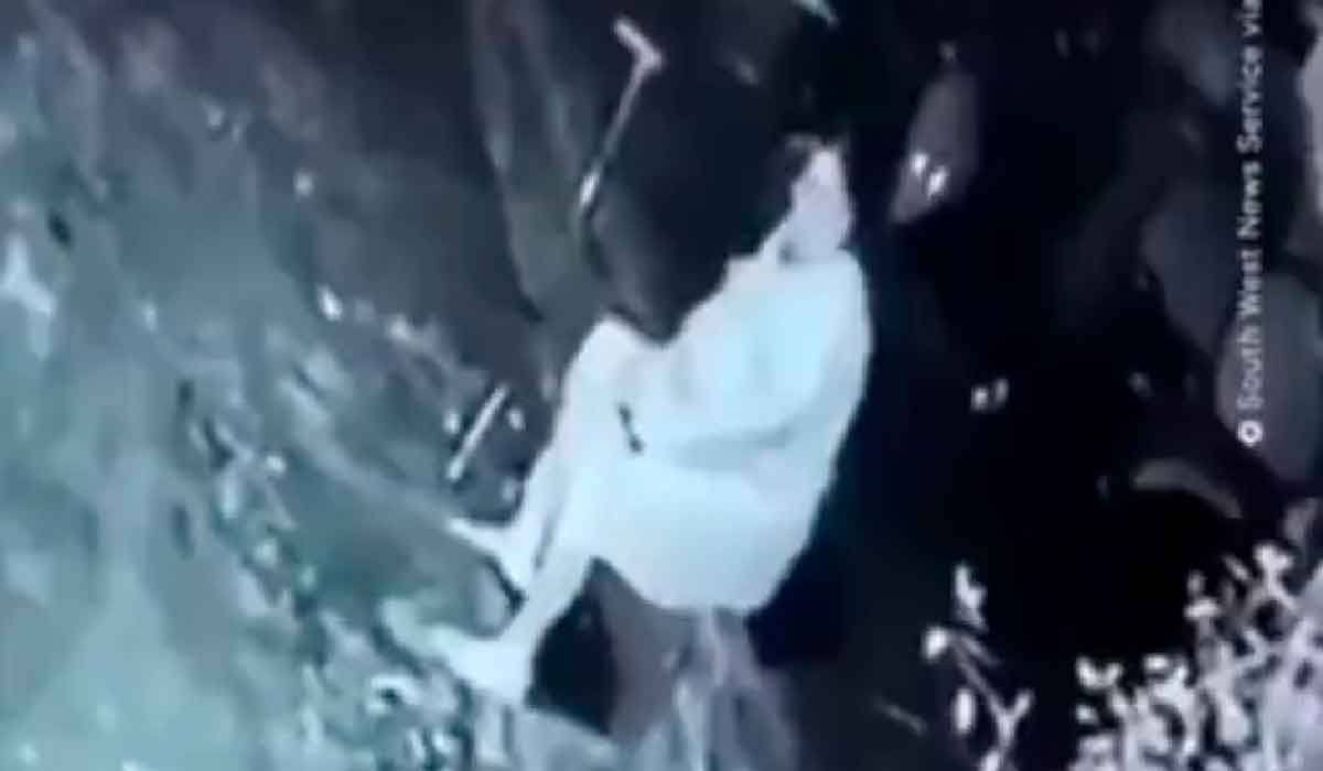 ¡Guerrera! Abuelita encara a gigantesco jaguar y se hace viral