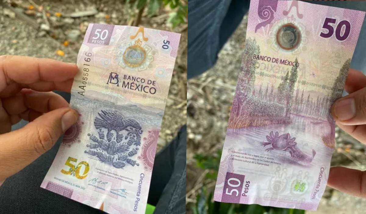 ¿Lo tienes?, esto vale el billete de $50 pesos del ajolote