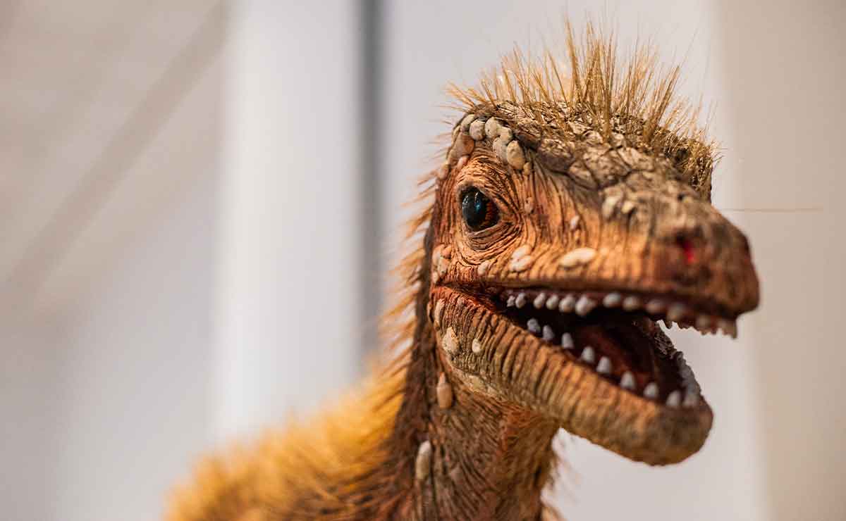 ¿Dinosaurios en Toluca? Sede, horarios y costo del boleto para verlos