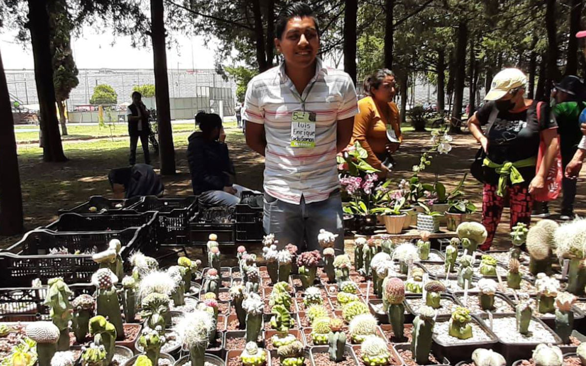 ¿Eres la señora de las plantas? Acude al Festival Plantero de Metepec