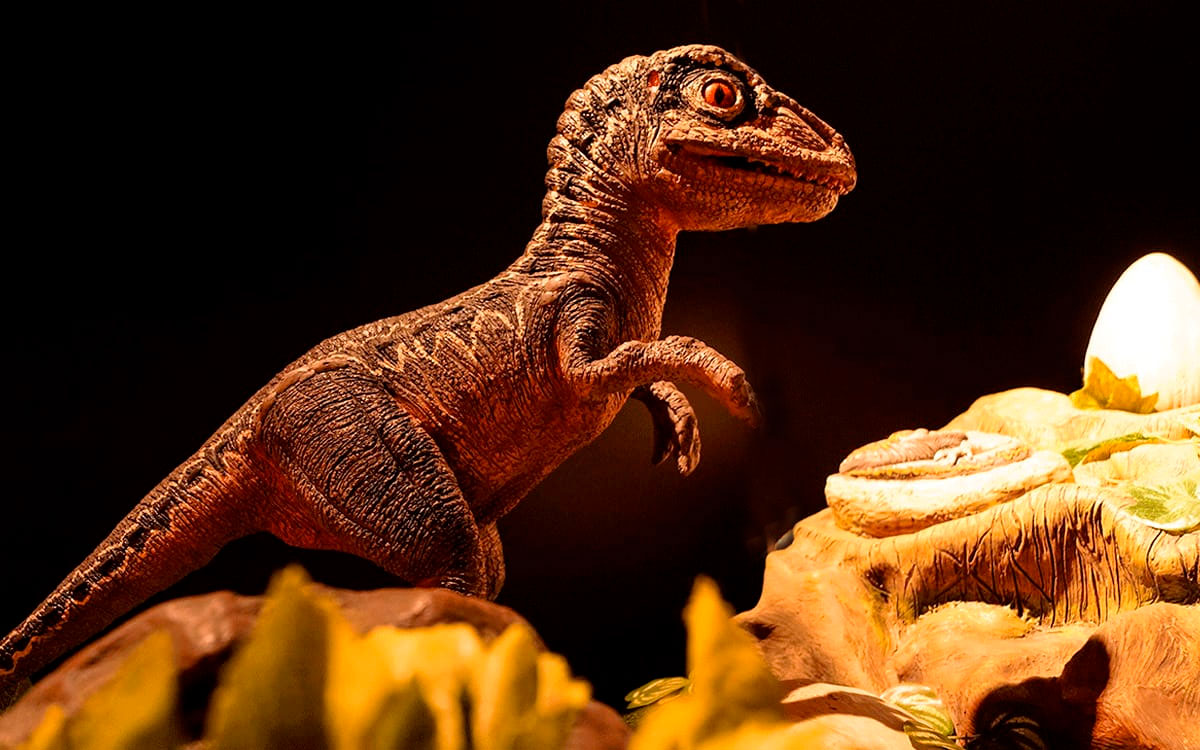 ¡Disfruta del mejor recorrido nocturno de dinosaurios en Toluca!e