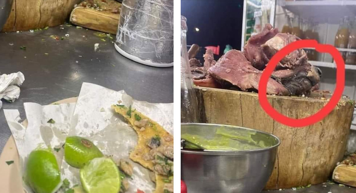 Taquerí­a del Edomex es sorprendida en redes sociales por vender "tacos de perro"