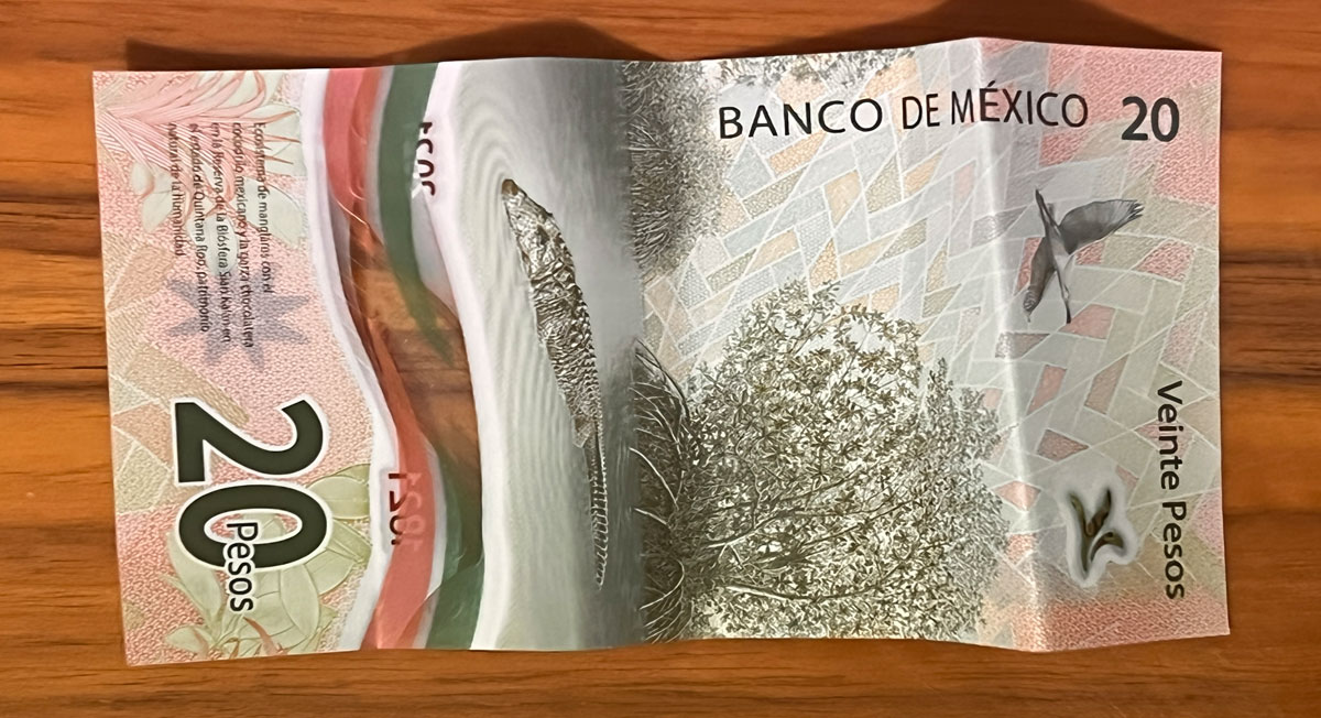 Con salida de billete de 20 pesos, identifica si es valioso para venderlo por más de $20,000e