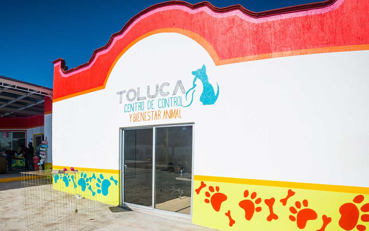 ¡Si se pudo! Se logra la destitución de los directivos de Control Animal Toluca