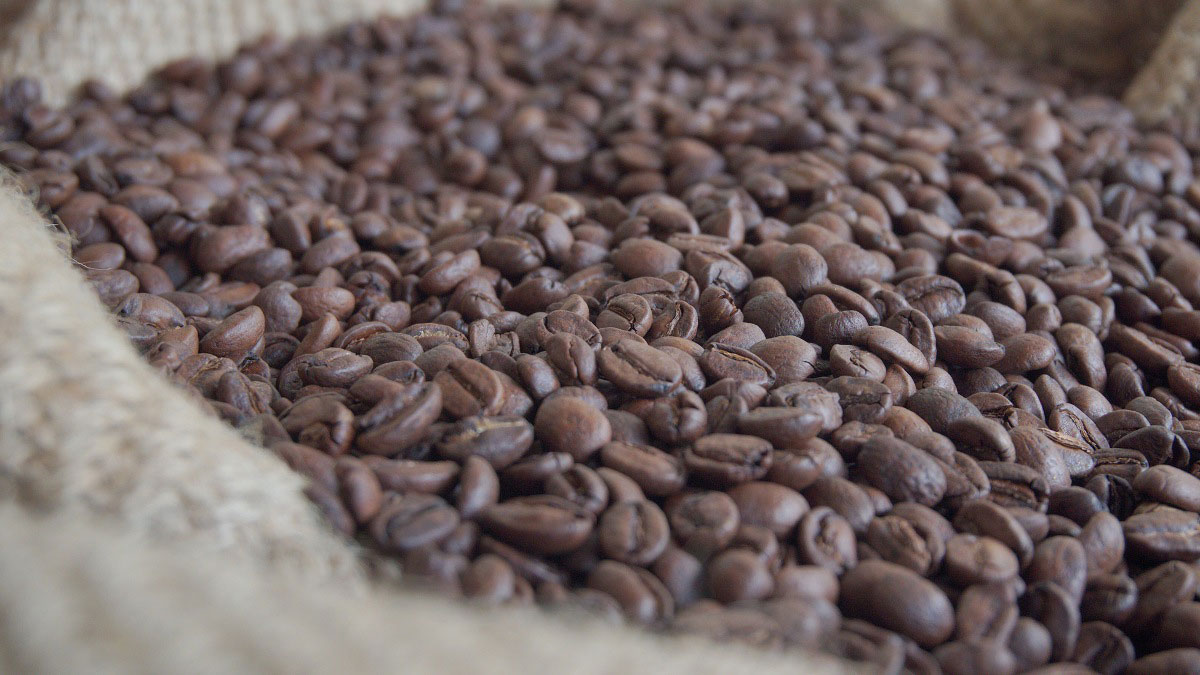 Festival del Café y Chocolate 2022 regresa a CDMX