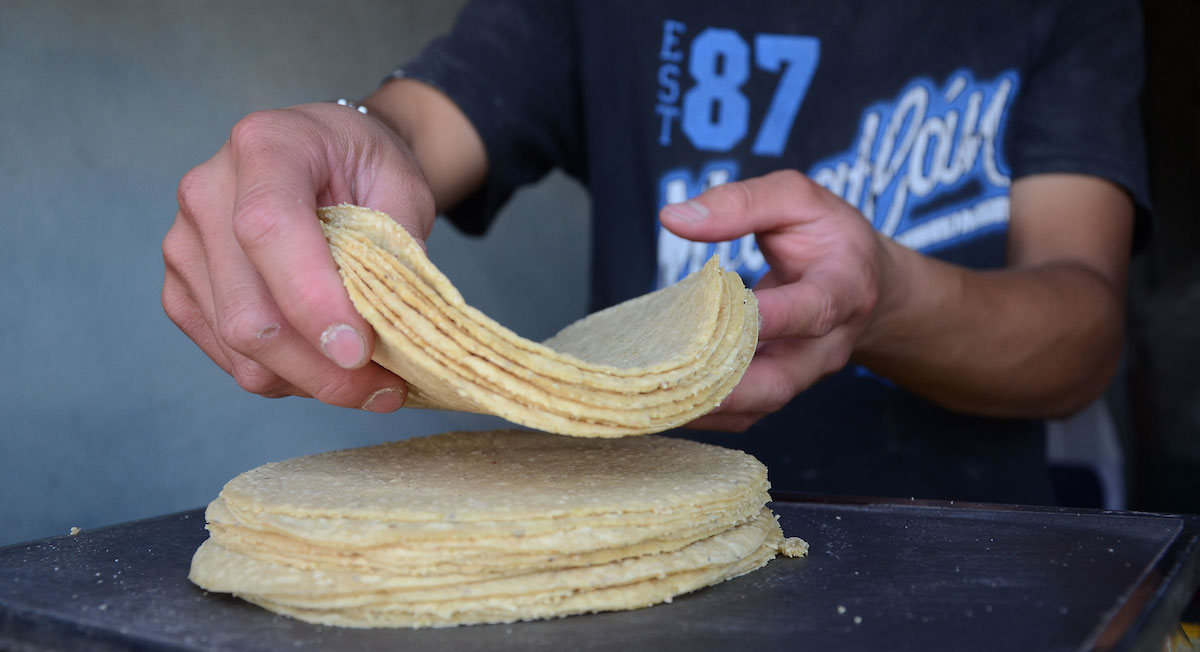 ¡Inflación me lastimas! Con incremento, esto tiene que costar el kilo de tortilla en el Valle de Toluca