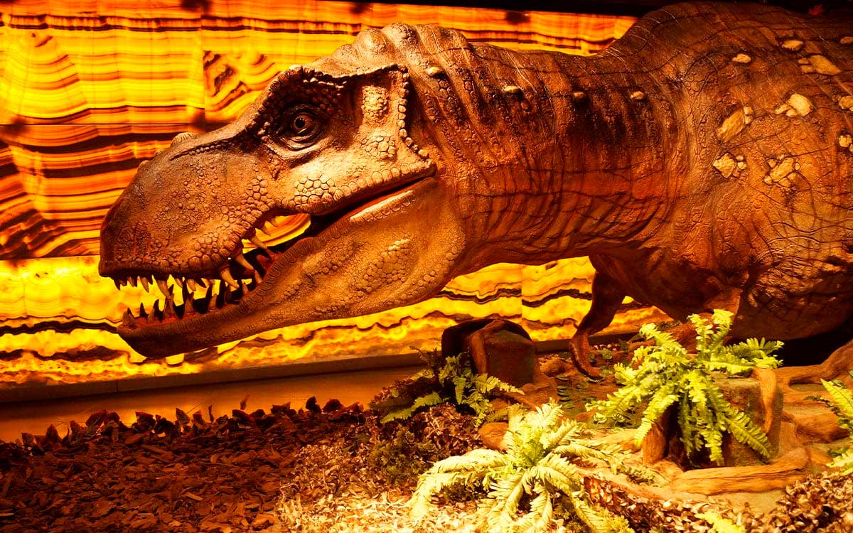 ¡Aprovecha los últimos dí­as de la exposición de dinosaurios en Toluca!