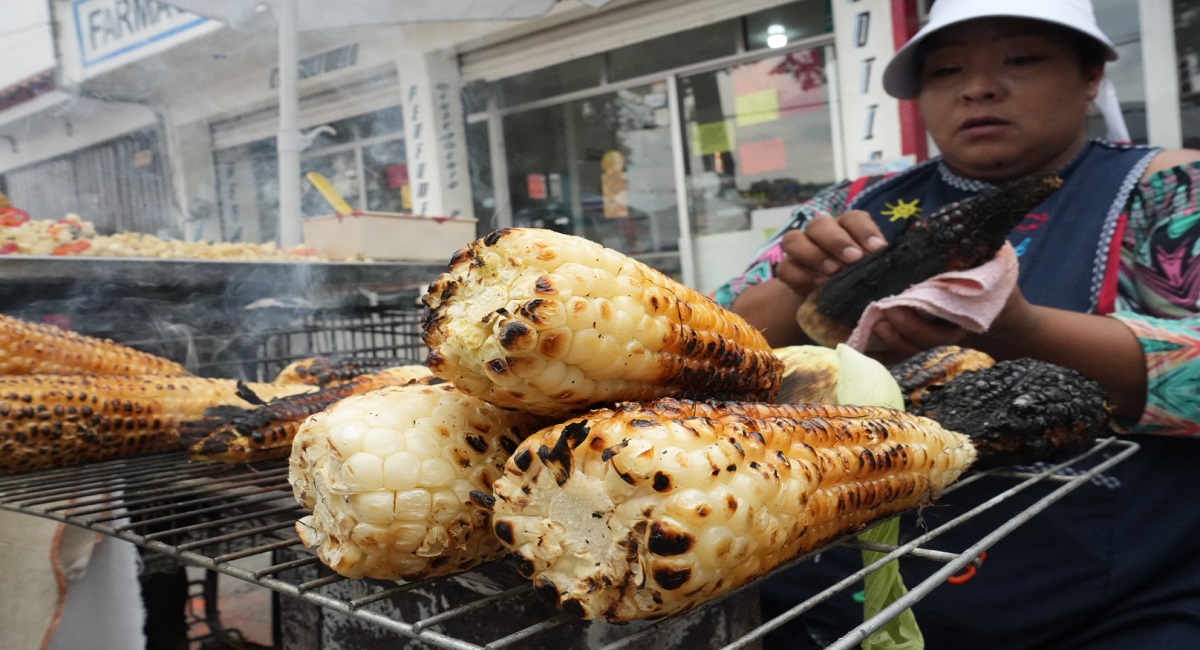 Música, talleres y más en la 34Â° Feria Nacional del Elote CDMX