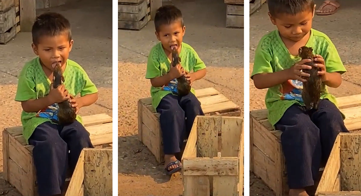 Niño da "cariñitos" a su peluda rata que tiene de mascota y se vuelve viral en TikTok