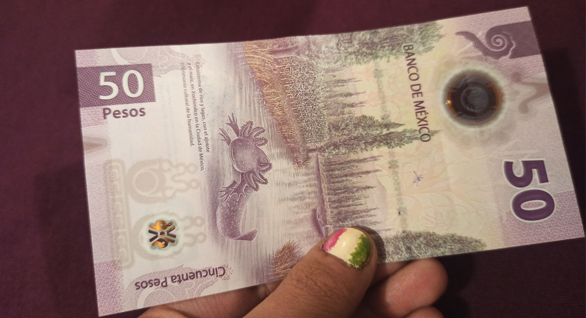 Billetes nuevos de 50 pesos ¿por qué son los más bonitos del mundo?