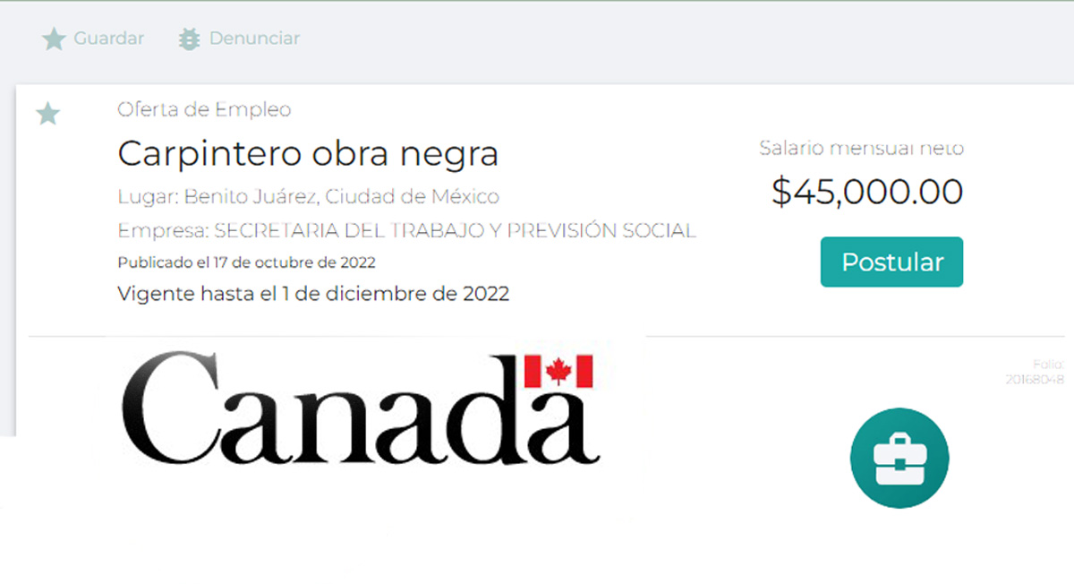 Trabajos en Canadá: Solicitan carpinteros con sueldo de $45,000