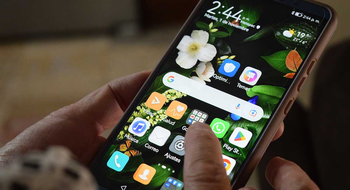 ¿Vine va a regresar? Esto se sabe