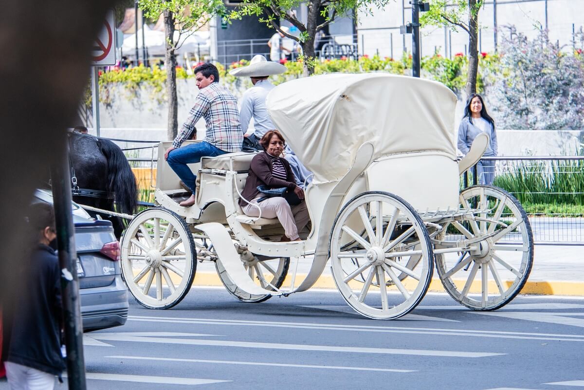 Las calandrias de Toluca ya iniciaron con paseos