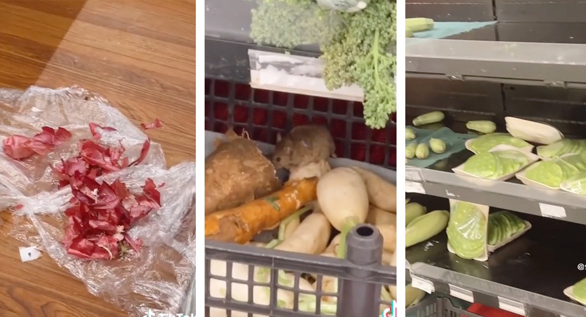¿Chefcito eres tú? Captan a ratón comiendo en Soriana de CDMXe