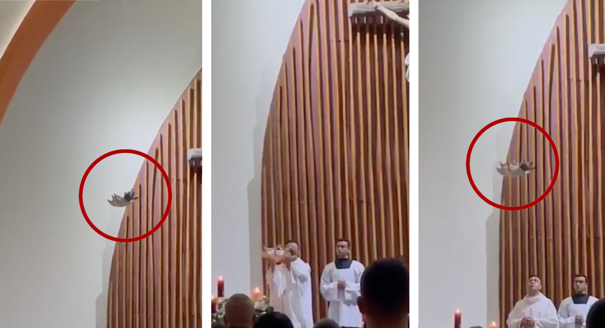 ¡Como James Bond! Así bajo un Niño Dios en misae