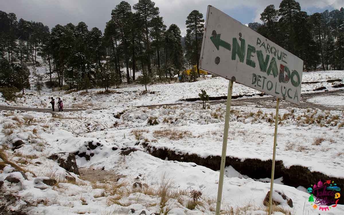 Recomendaciones oficiales para disfrutar tu vista al Nevado de Toluca