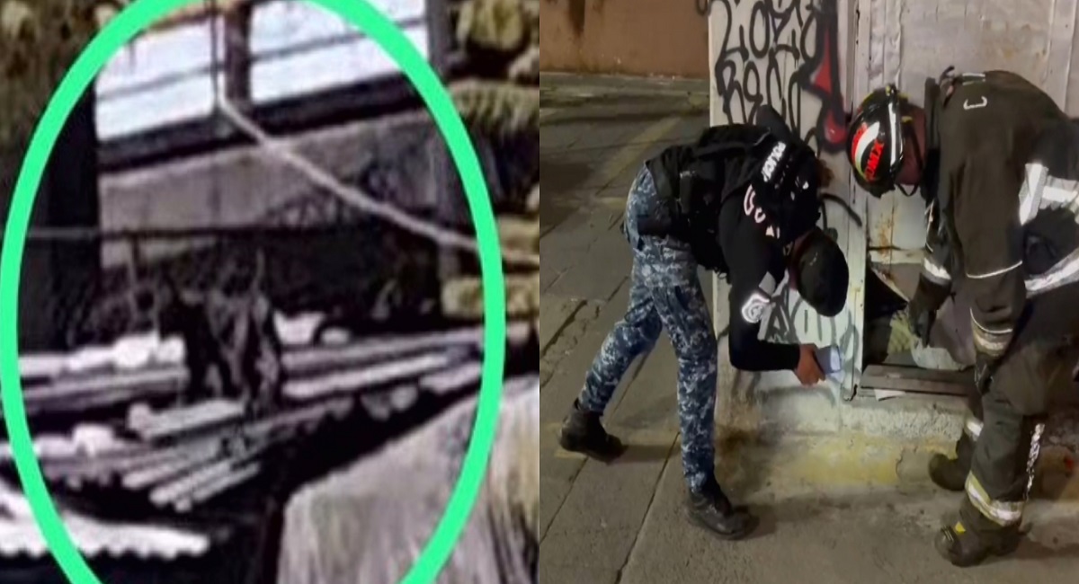 Cuadrillas salen en busca de la "Pantera Negra" de Tacuba