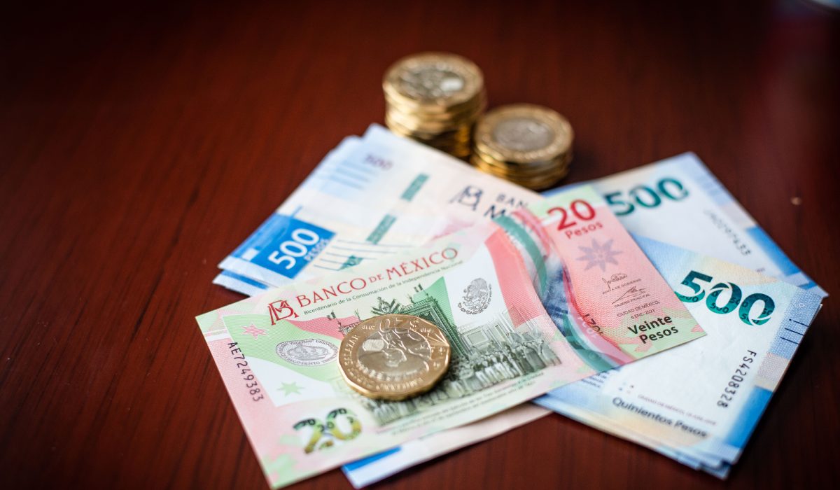 ¿Cómo identificar los billetes que valen miles de pesos en el 2023?