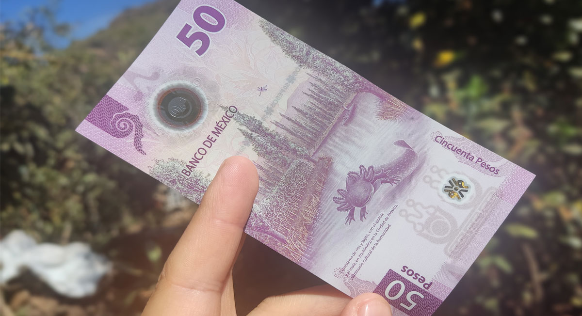 ¿Cuáles son los billetes nuevos de 50 del Ajolote que valen más en 2023?
