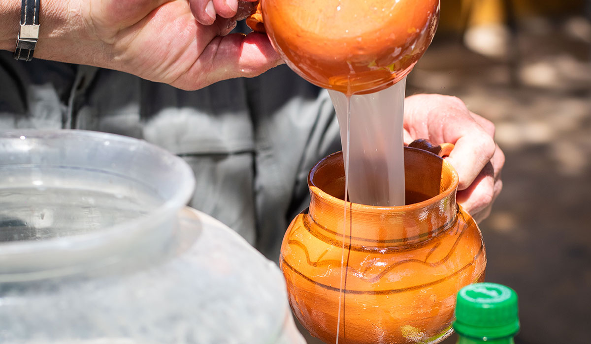¿Cuándo será la Feria del Pulque 2023 Edomex? - fechas y ubicación