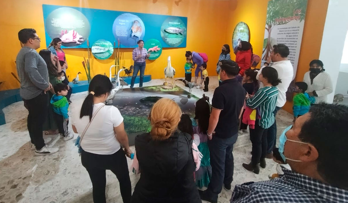 Taller sobre Biodiversidad y avistamiento de aves en Toluca: ¡Checa todos los detalles! 