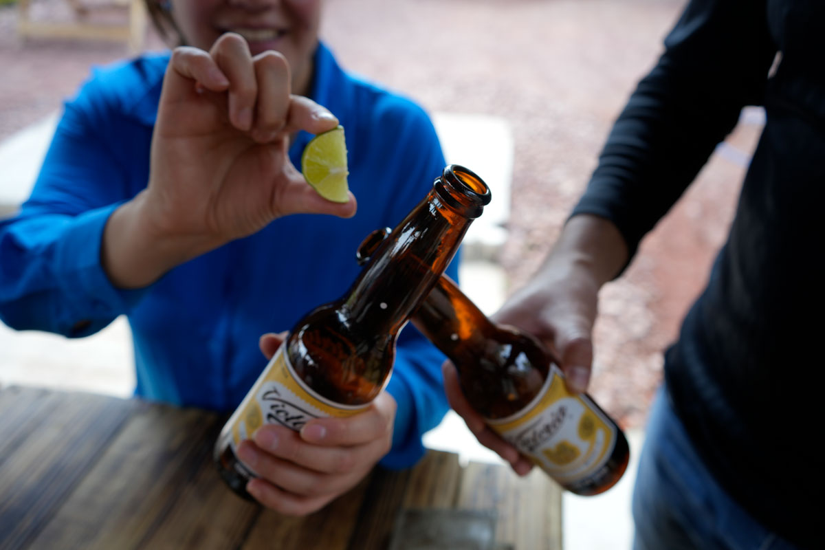 ¿Alguien dijo chela? Beerfest 2023 con DLD, Café Tacvba, Caloncho y máse