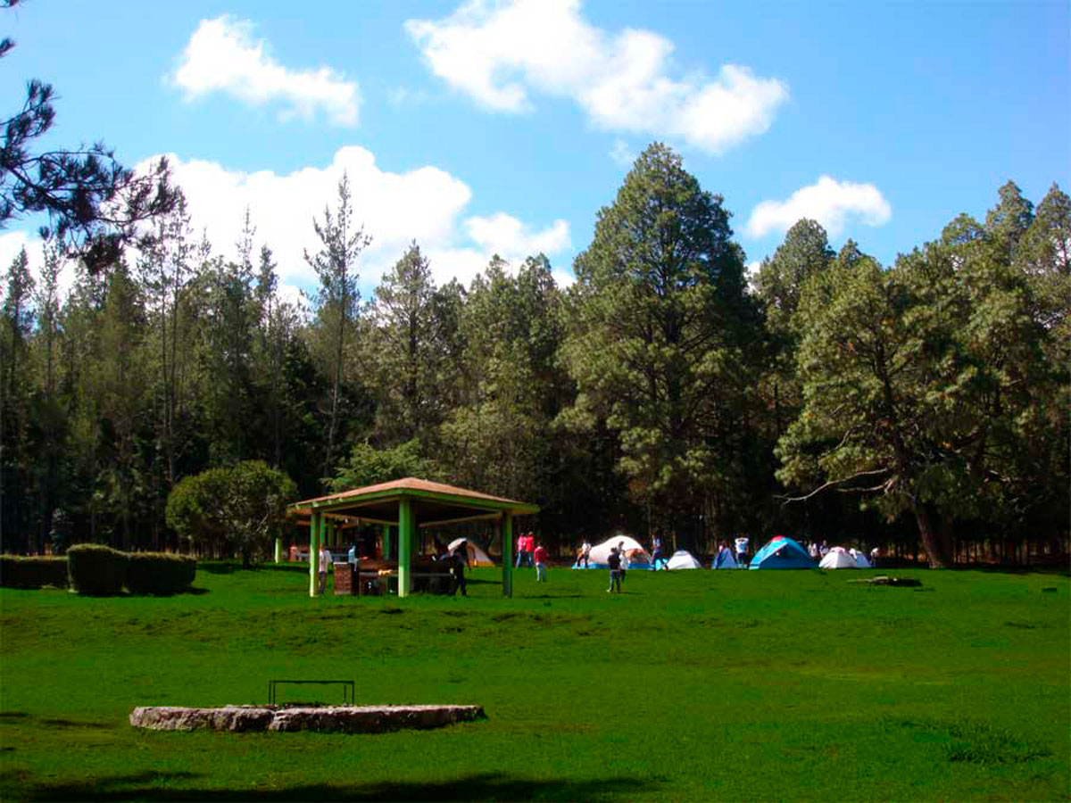 Celebra el Dí­a del Padre en cabañas o acampando en Malintzi, EDOMEX con 30% de descuento
