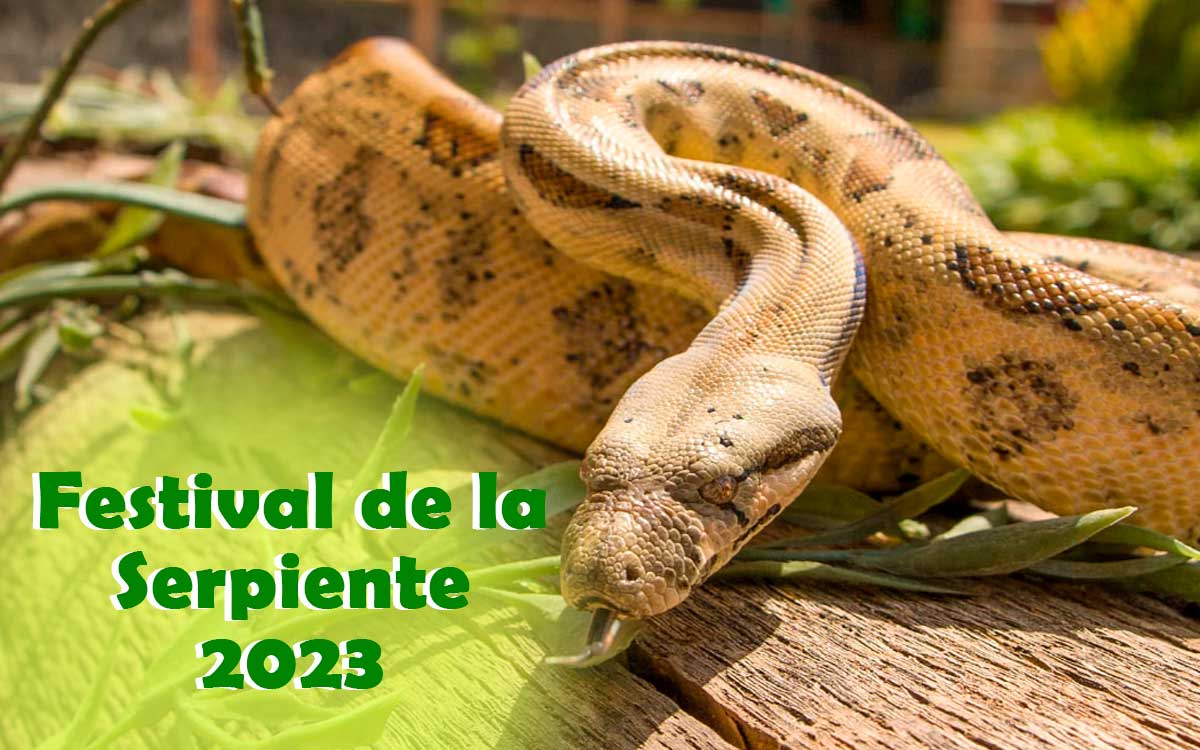 ¡Festival de la Serpiente al 2x1 en julio! Habrá edición en Toluca y Metepec