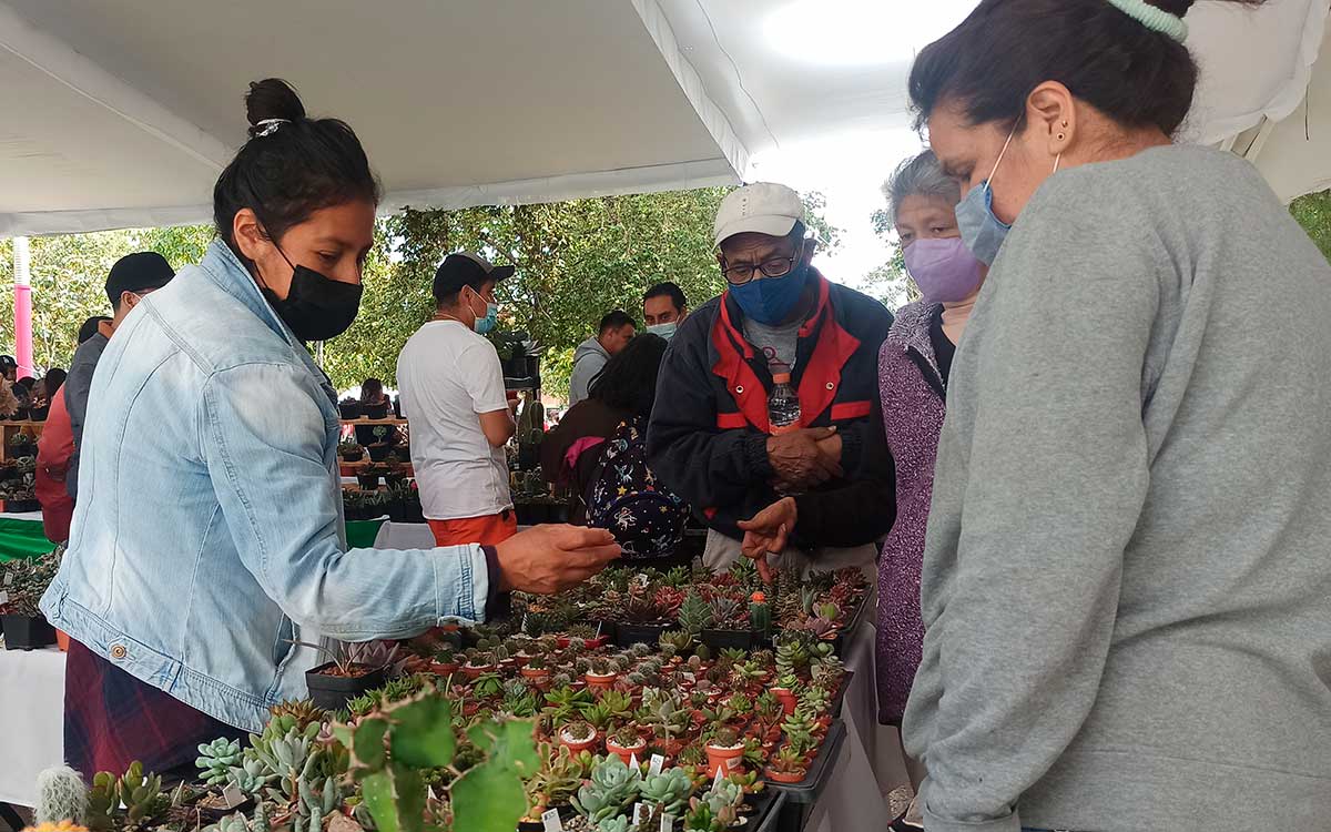 ¡Plantitas, plantitas! Lánzate a la Expo Plantera Toluca 2023 con más de 20 expositorese
