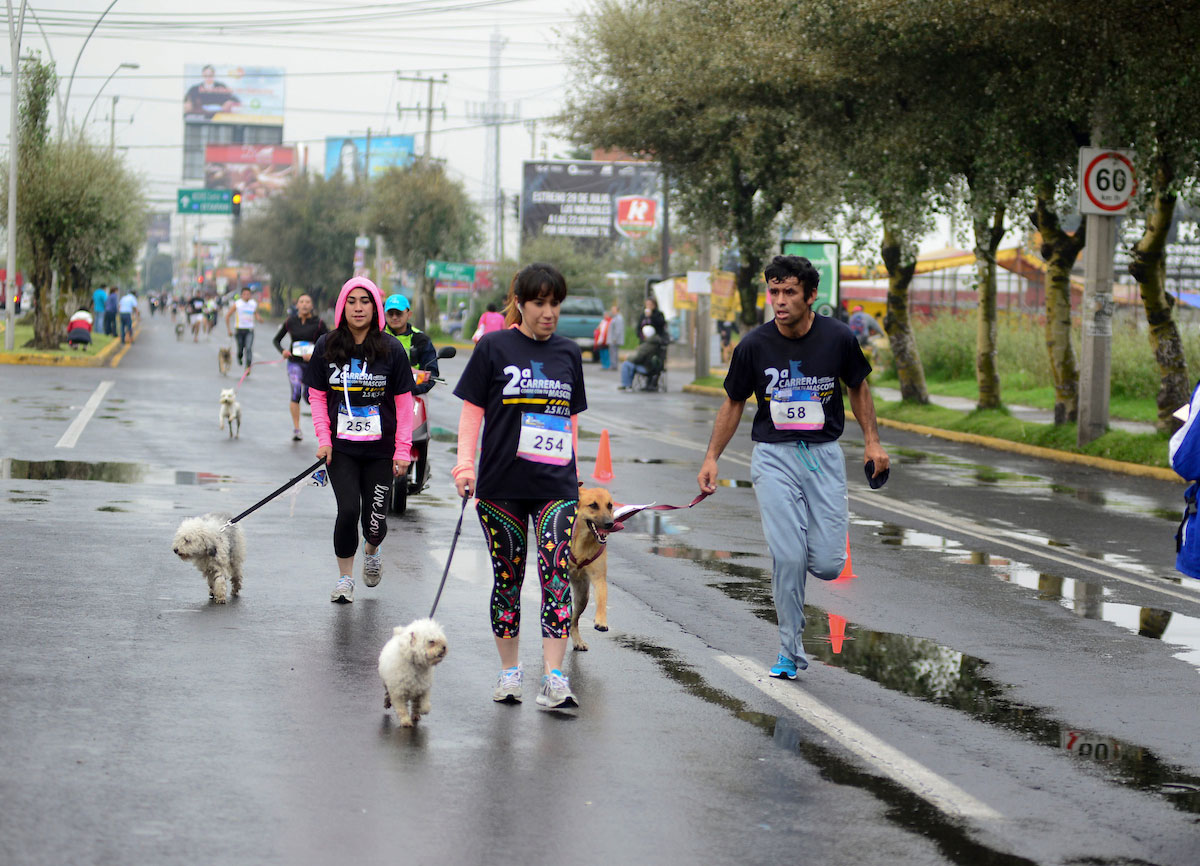 ¡Gana hasta $3,000 con tu mascota! MEGA caminata y carrera Metepec 2023
