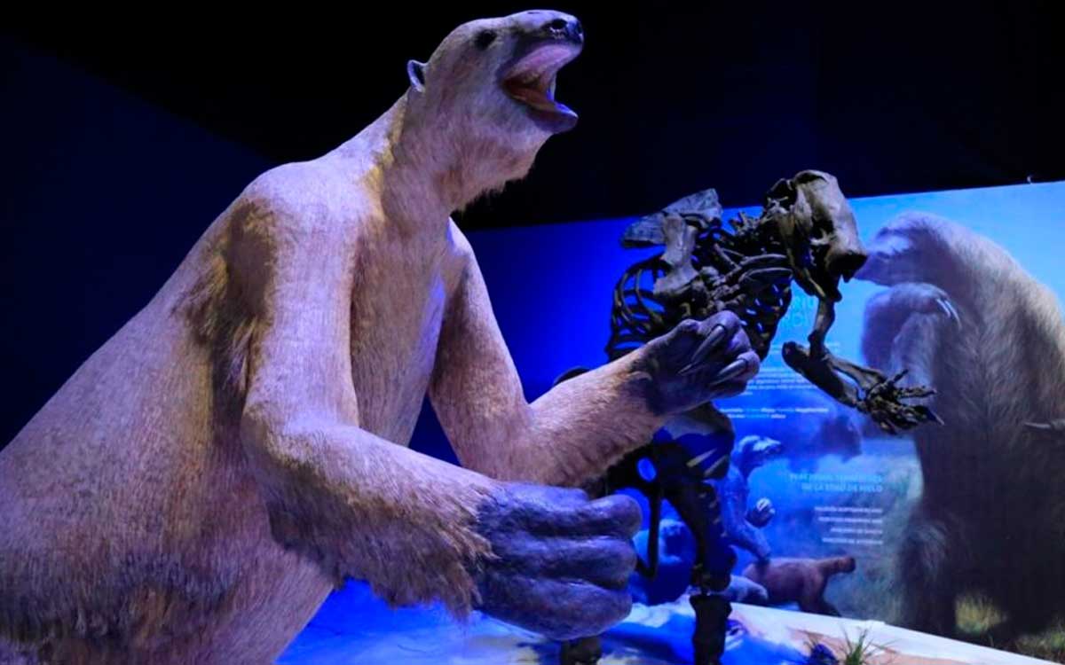 ¡Expo de Hielo llega a Toluca por menos de 60 pesos la entrada!e