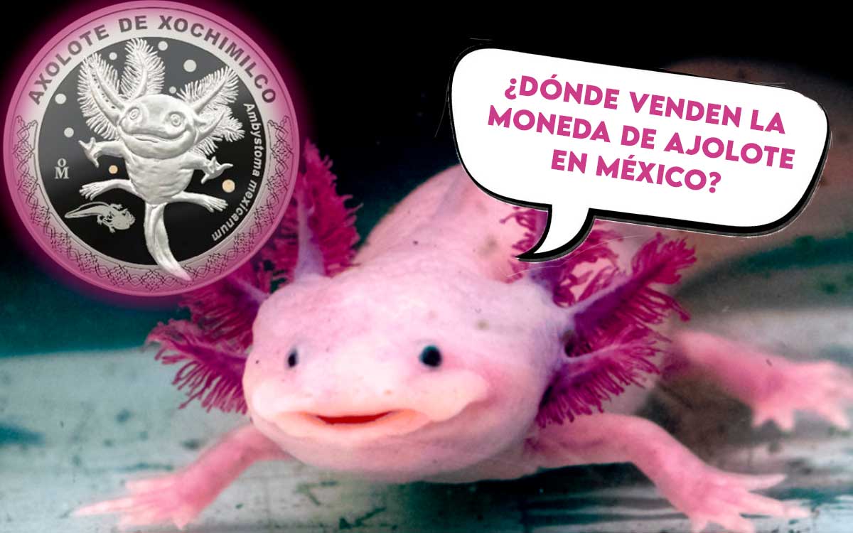 ¡El ajolo peso sí­ existe! En estos lugares puedes comprar la moneda de ajolote
