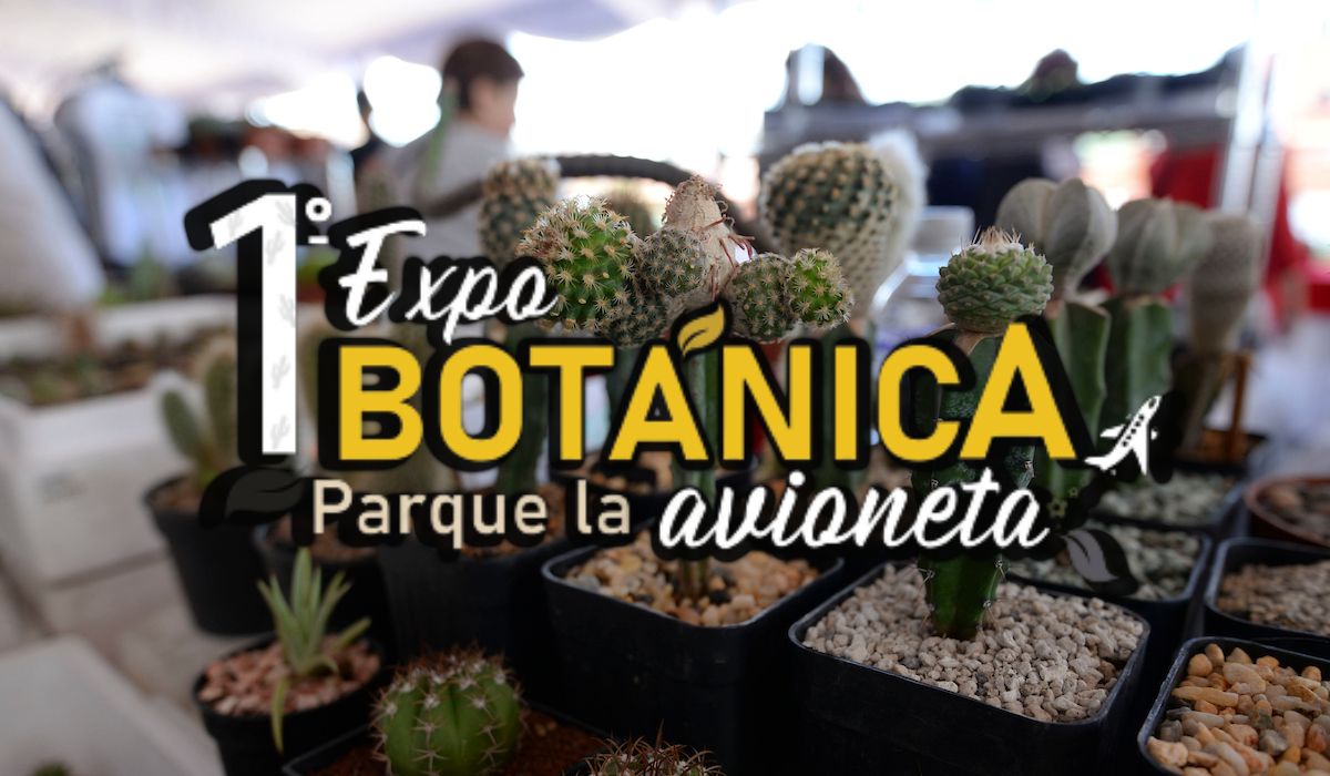 ¡Feria verde con sabor a naturaleza! Toluca se prepara para este evento plantero
