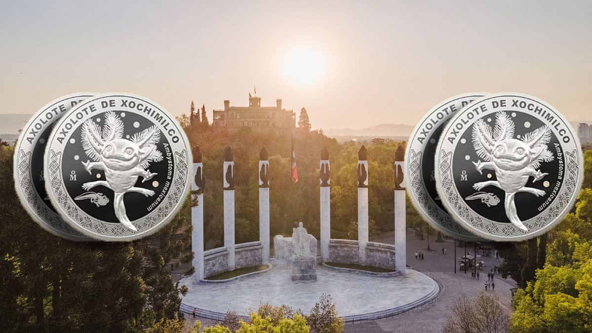 NUEVA moneda de Ajolote por 100 años del Zoológico de Chapultepec, te decimos dónde comprarlae