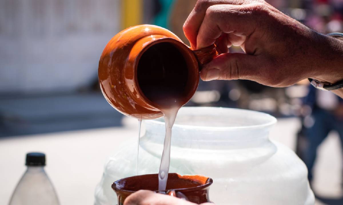 ¡Pulque Fest en CDMX! Te decimos todo lo que tienes que saber para no perderte de este evento