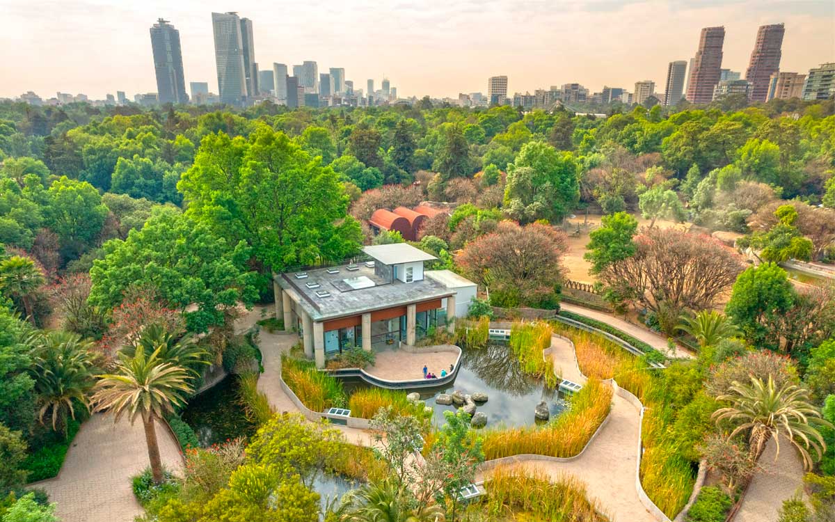 Zoológico de Chapultepec: ¿Cuál es el horario y cuánto cuesta la entrada?