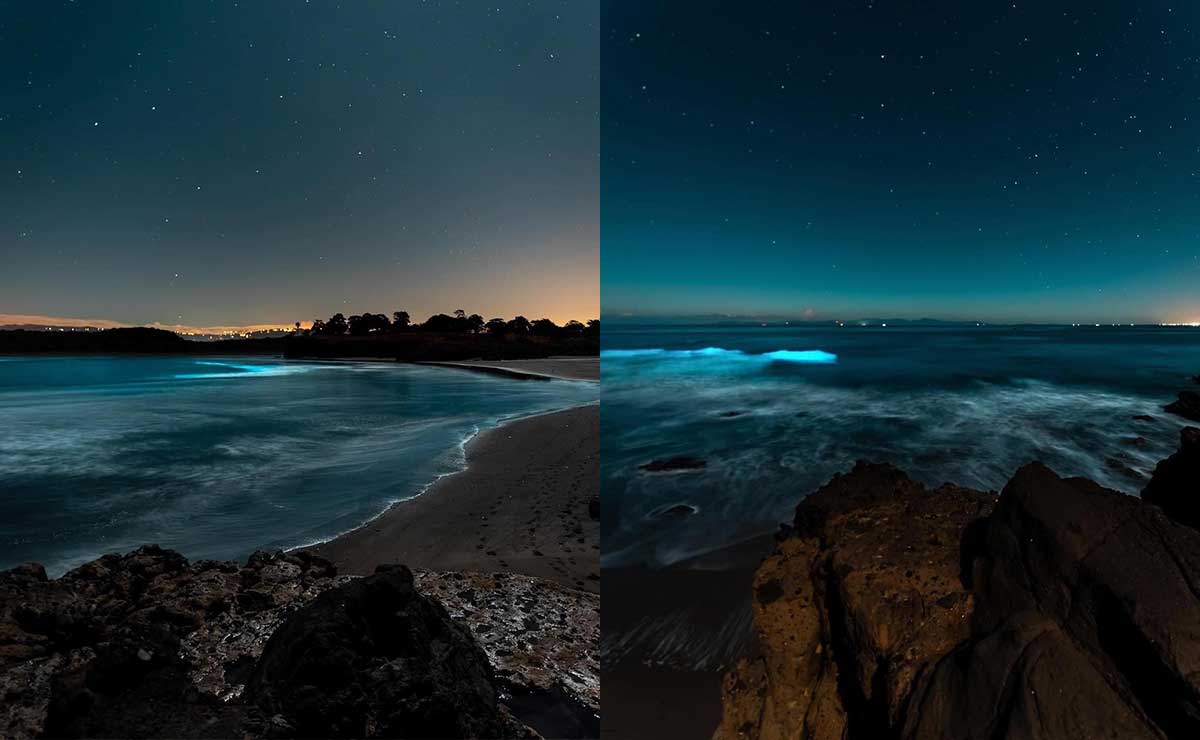 ¡Conoce las 3 playas con bioluminiscencia que podrás encontrar en México!