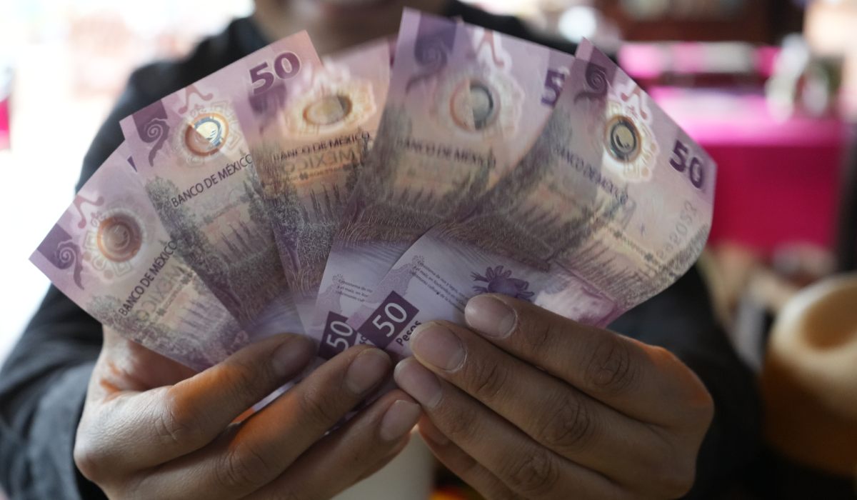 Venden 6 billetes del ajolote por 7 millones de pesos ¿Cuáles son esos ejemplares?