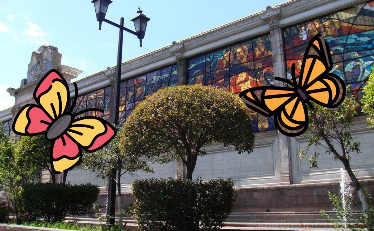 Participar en la instalación de Jardines Polinizadores en Toluca