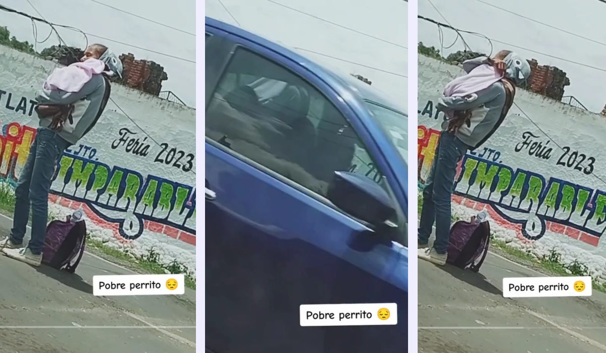 ¡No se puede confiar en nadie! Mujer pide limosna para su perrihijoe