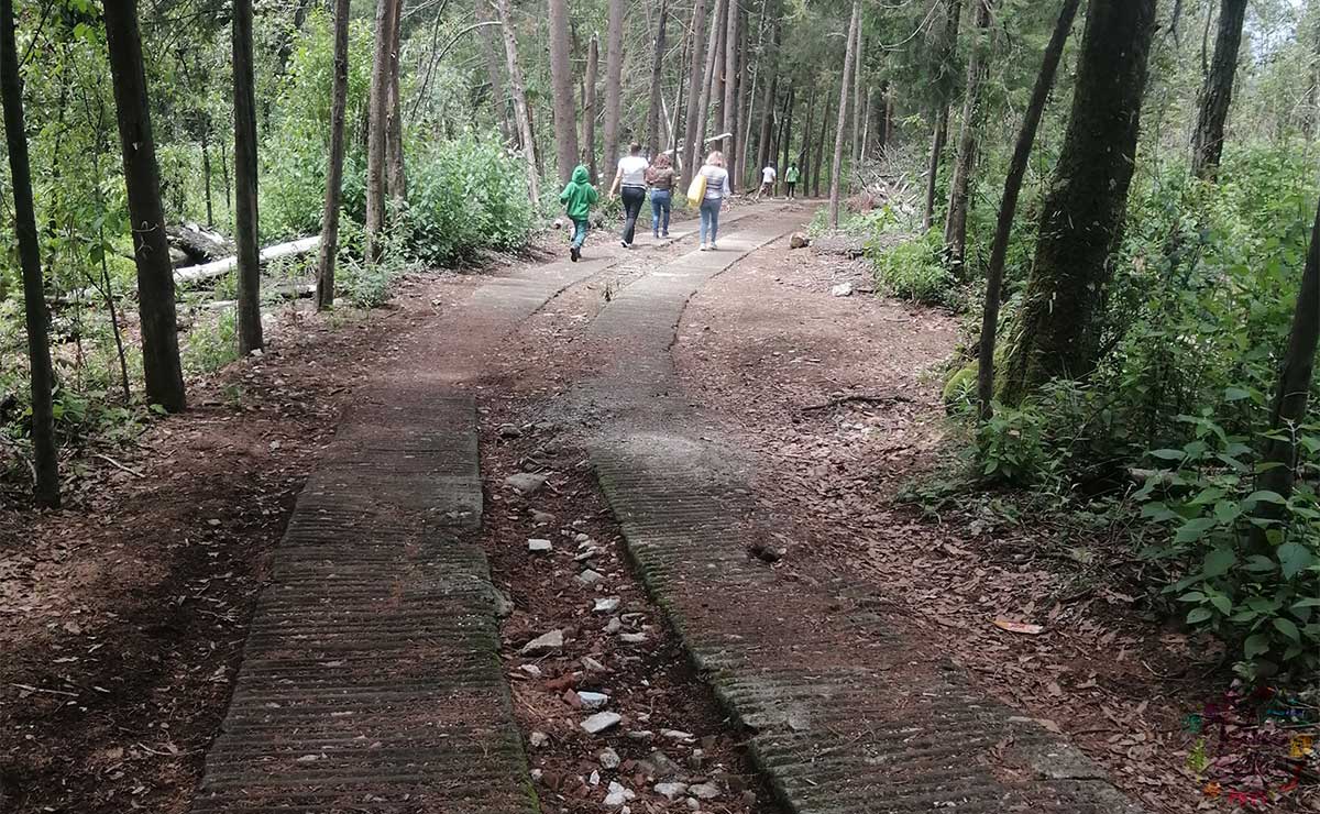 ¿Sin plan para el fin de semana? visita un parque recreativo en el Valle de Toluca