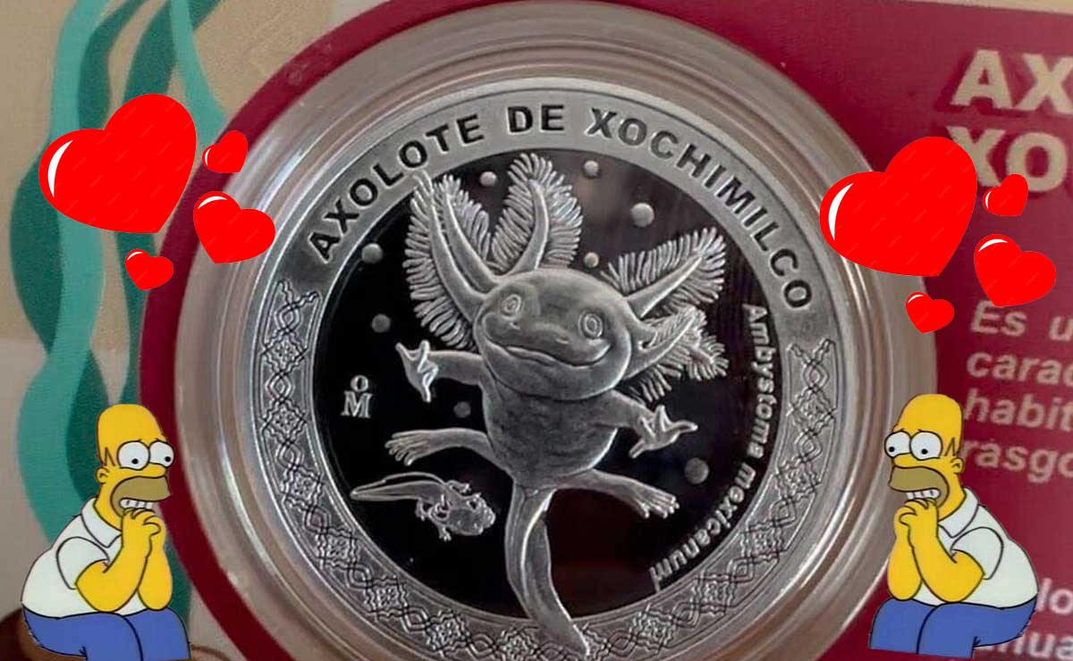 ¡Vuelven las monedas conmemorativas del Zoológico de Chapultepec! Hay de Ajolote