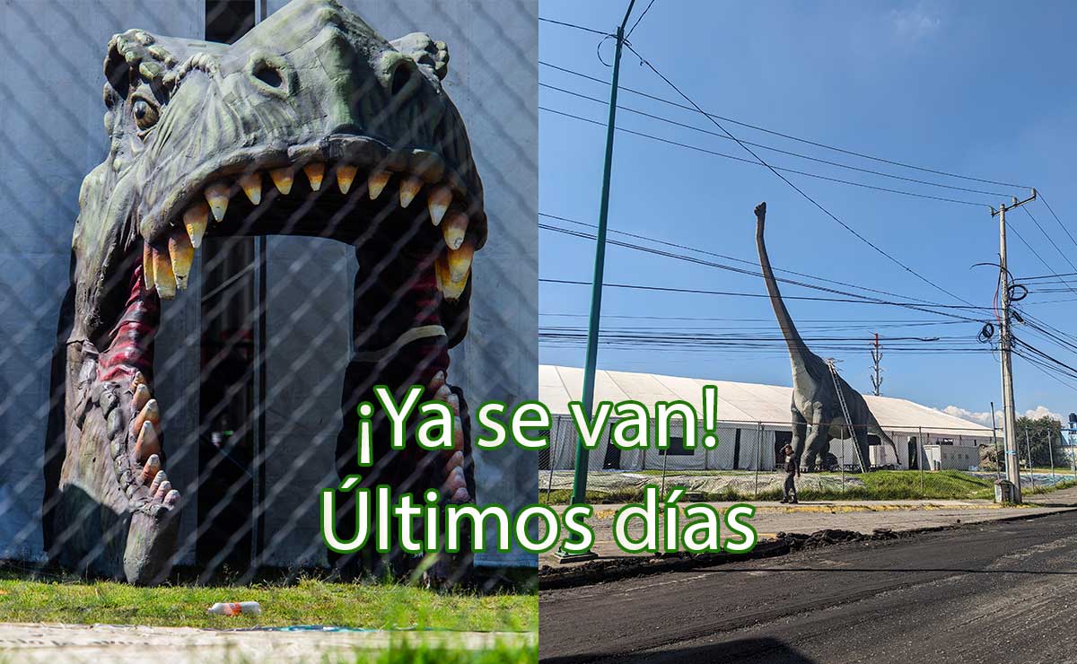 ¡Ya se van los dinosaurios robóticos! Lleva a tus pequeños, no pierdas la oportunidade