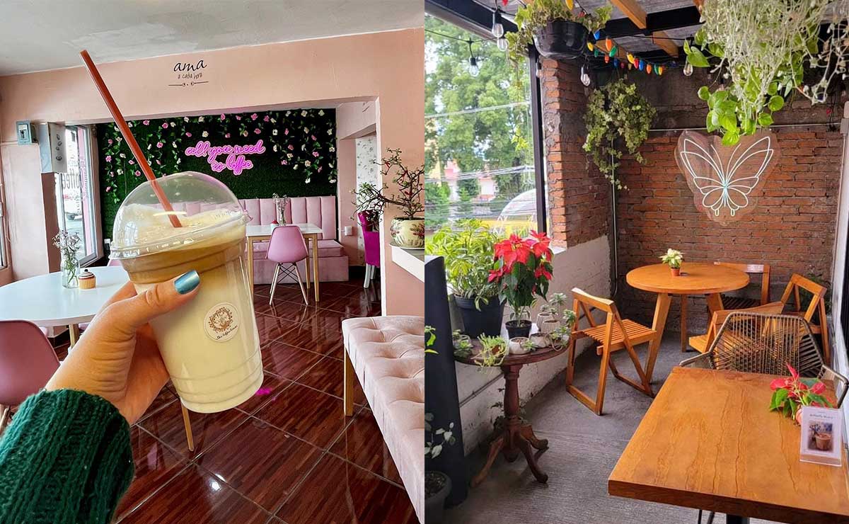 ¡5 cafeterí­as al estilo "coquette"! Lugares para visitar con tus amigas en Toluca