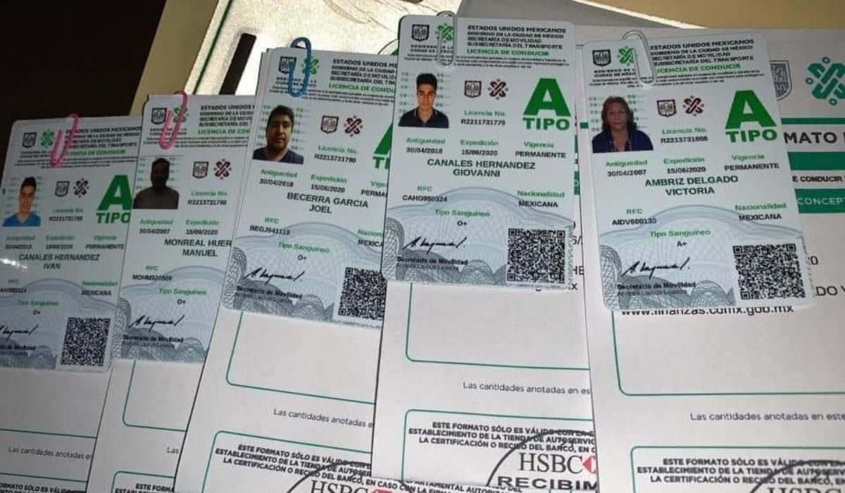 ¿Qué hacer si perdiste tu licencia permanente de la CDMX 2024?